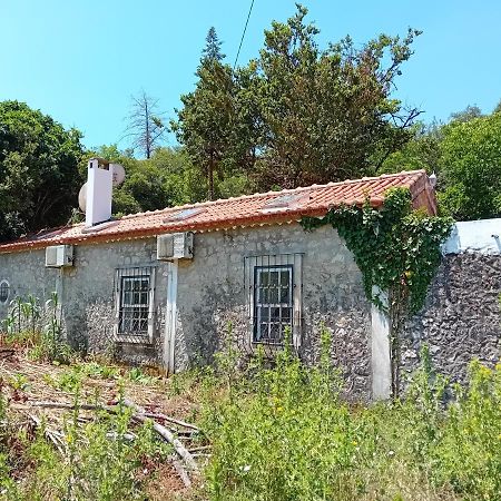 Retiro D'Azenha Villa Almoster Kültér fotó