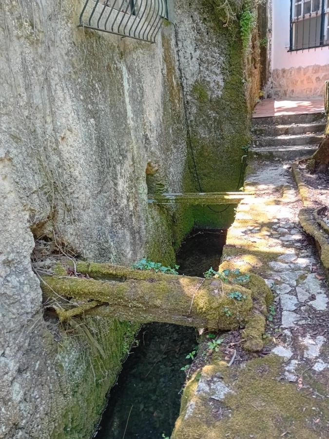 Retiro D'Azenha Villa Almoster Kültér fotó