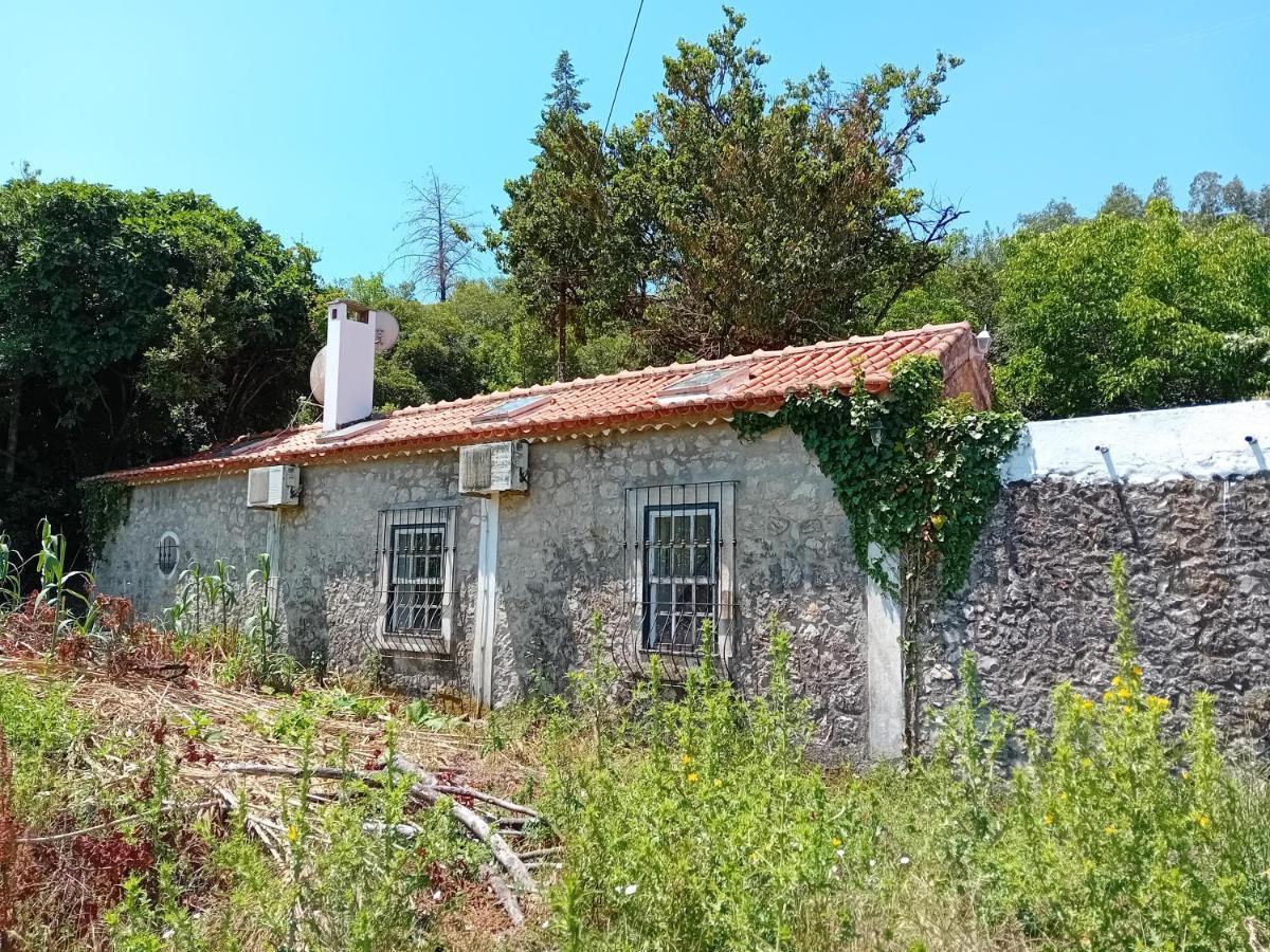 Retiro D'Azenha Villa Almoster Kültér fotó