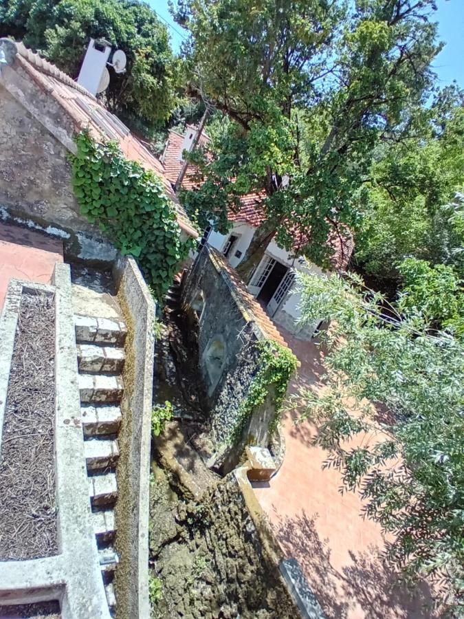 Retiro D'Azenha Villa Almoster Kültér fotó